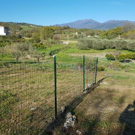 Villetta Nel Verde Ascea Kültér fotó