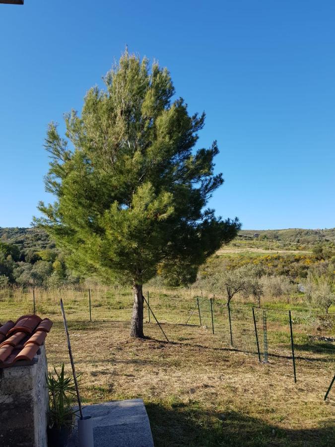 Villetta Nel Verde Ascea Kültér fotó