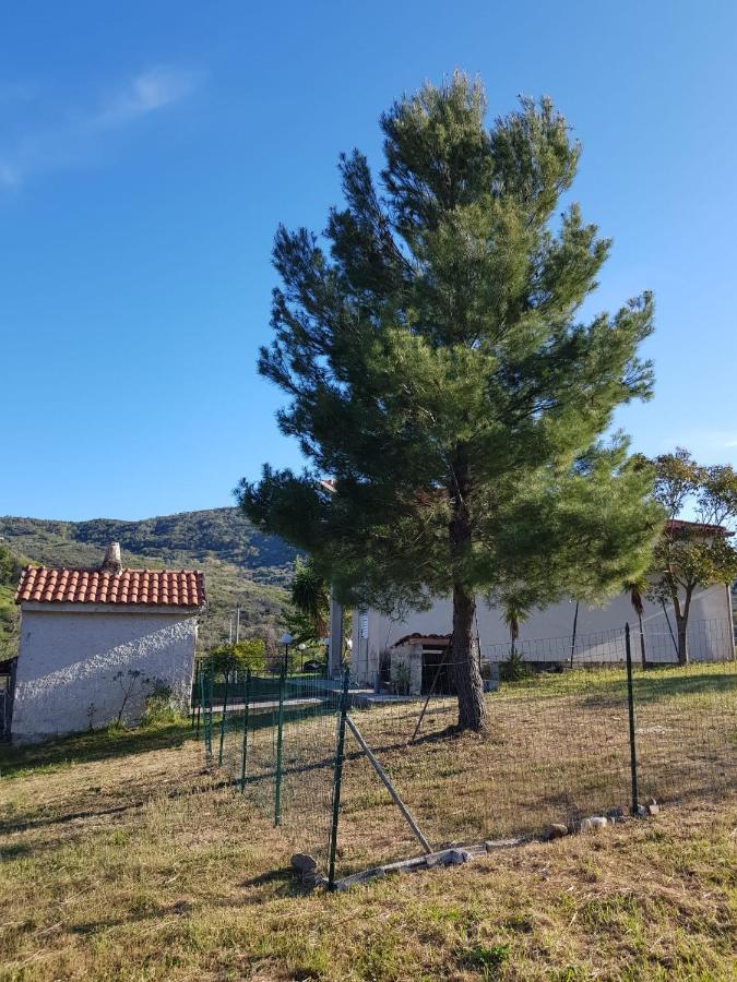 Villetta Nel Verde Ascea Kültér fotó