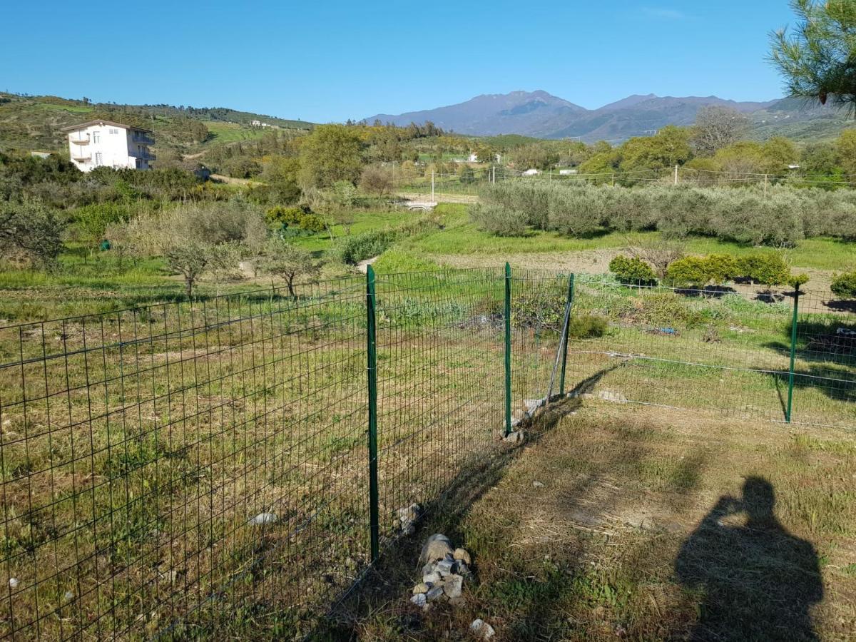 Villetta Nel Verde Ascea Kültér fotó
