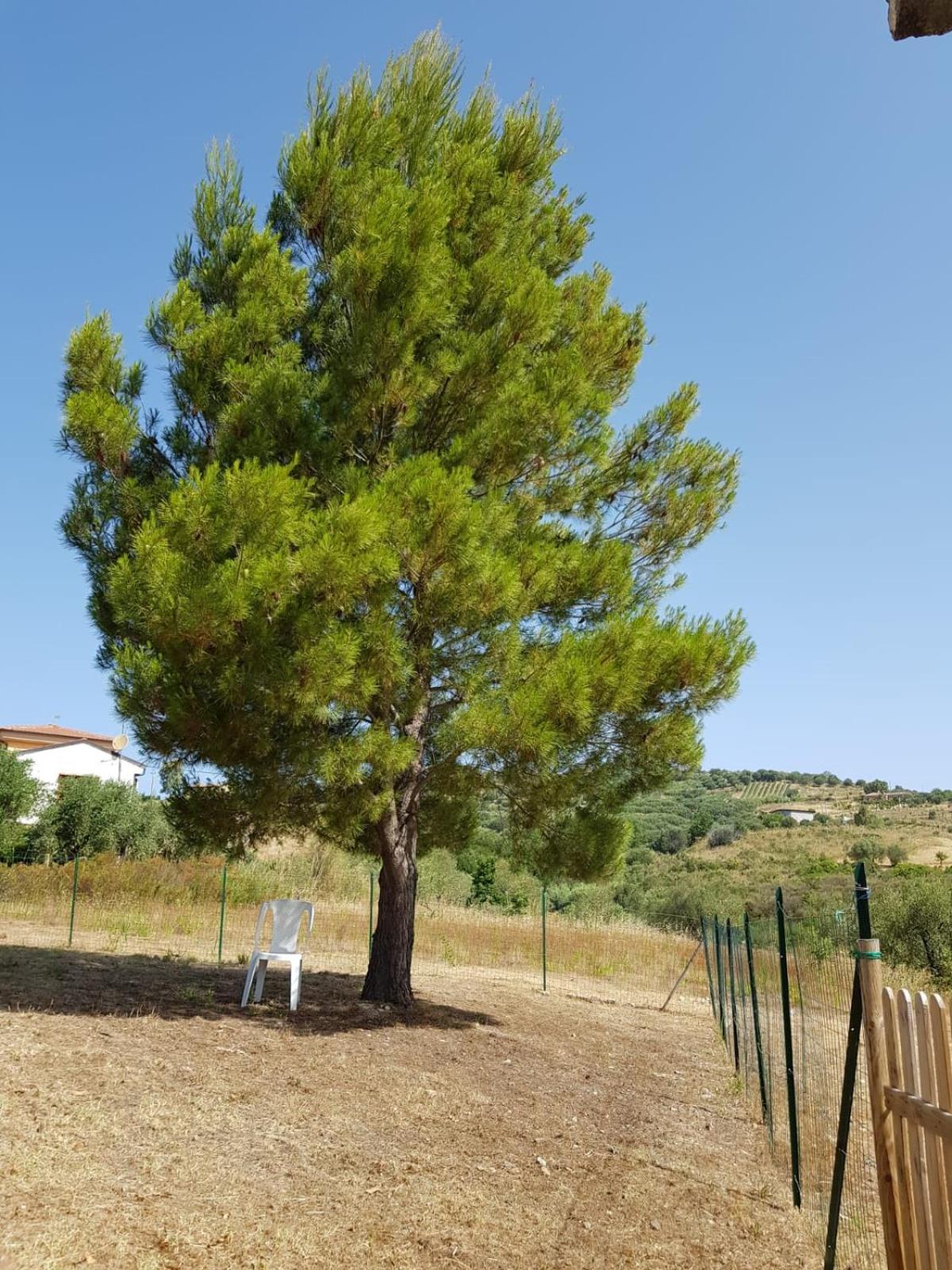 Villetta Nel Verde Ascea Kültér fotó